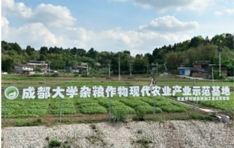 成都大學： 構(gòu)建從“一粒種子”到“一桌美食”的全鏈條創(chuàng)新