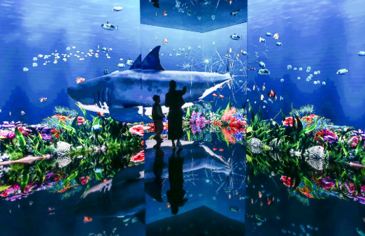 應(yīng)用場(chǎng)景加速上新 “AI+文旅”擦出新火花