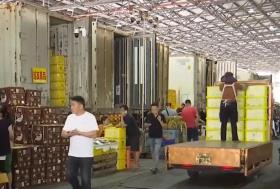 物流升級(jí)助推進(jìn)口水果貿(mào)易：東南亞水果更快更新鮮