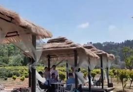 旅游消費(fèi)從中心城鎮(zhèn)向農(nóng)村市場(chǎng)擴(kuò)散 鄉(xiāng)村旅游煥發(fā)雙向奔赴新活力