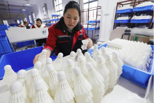 小羽毛撬動(dòng)大市場(chǎng)：羽毛球產(chǎn)業(yè)如何破解漲價(jià)困局?