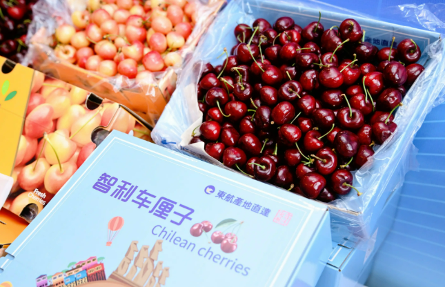 連續(xù)十多年，智利穩(wěn)坐我國進口車厘子第一大來源地