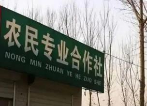 河南發(fā)文深化供銷合作社綜合改革