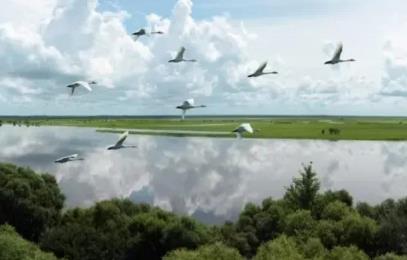 黑龍江省中國(guó)科學(xué)院科學(xué)家工作室增至114家