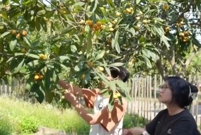 嘗“鮮”經(jīng)濟(jì)帶火旅游消費(fèi) 激活吃、住、游、購(gòu)、娛綜合消費(fèi)新動(dòng)能