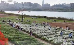 繁花美景引客來(lái) “自然風(fēng)光+紅色文化”成文旅融合發(fā)展閃亮名片