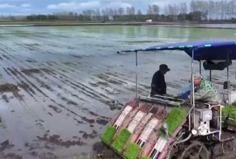 “新農(nóng)機(jī)+新品種”助力增產(chǎn)增收 在希望的田野上 “豐”景可期