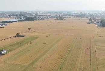 智能農(nóng)機(jī)“唱主角” 希望的田野描繪好“豐”景