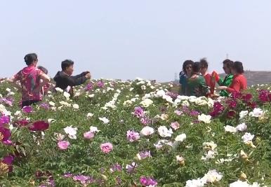 各地探索“生態(tài)+文旅”創(chuàng)新模式 為鄉(xiāng)村振興注入新活力