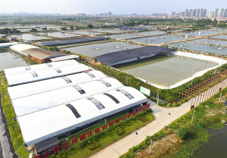 中國移動5G助力“中國生魚之鄉(xiāng)”書寫鄉(xiāng)村致富經(jīng)