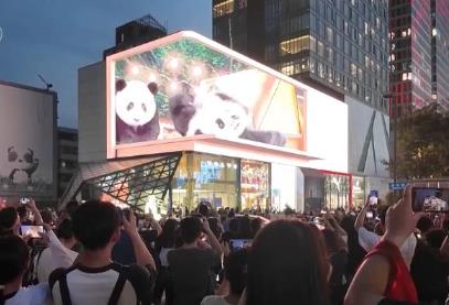 既有“煙火氣”又有“科技范兒” “夜經(jīng)濟”成為拉動城市消費新引擎