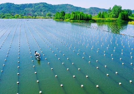 中國首個水產(chǎn)養(yǎng)殖領(lǐng)域世界級農(nóng)業(yè)文化遺產(chǎn)項目誕生