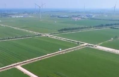 特色產(chǎn)業(yè)一派好“豐”光 “花果經(jīng)濟(jì)”激活鄉(xiāng)村振興 “新引擎”