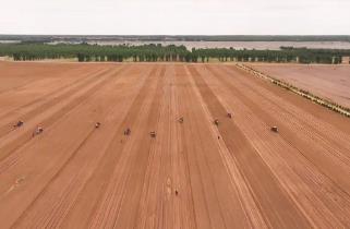 內(nèi)蒙古敖漢旗：百萬(wàn)畝谷子播種啟幕 續(xù)寫(xiě)“世界小米之鄉(xiāng)”輝煌