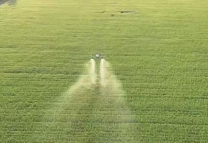 護(hù)航小麥穩(wěn)產(chǎn)豐收 田間管理舉措“一噴三防”到底是什么？