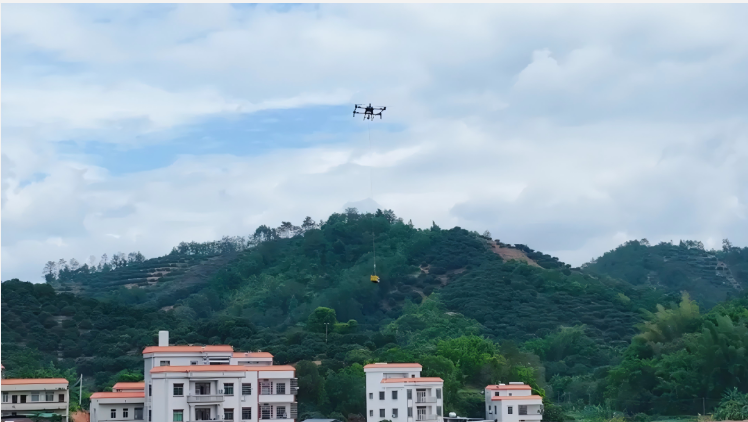 中國(guó)電信助力廣東高州荔枝“起飛”