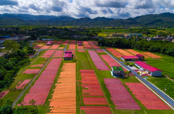廣新控股集團(tuán)強化ESG治理 為高質(zhì)量發(fā)展注入動能