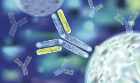 百奧幾何：以科學智能實現(xiàn)蛋白質(zhì)“設計自由”