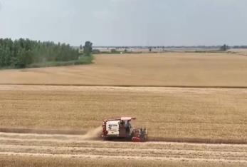 全國小麥?zhǔn)斋@進(jìn)度過兩成 多地迎來豐收季