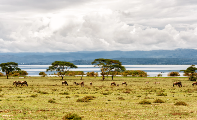 旅游業(yè)推動非洲經(jīng)濟(jì)可持續(xù)發(fā)展