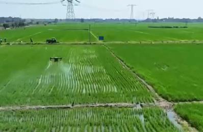 農(nóng)技護(hù)航、智慧種田 “三夏”時(shí)節(jié)各地都在搶農(nóng)時(shí) 忙耕種