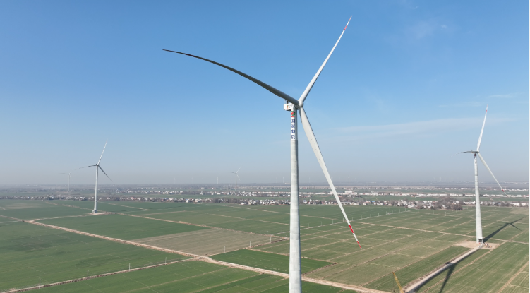 20250603133633742.png 20250603133633742.png