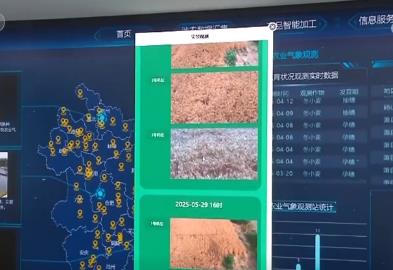 AI賦能“智慧”田管“三夏”更“聰明” 向科技要產(chǎn)能夯實(shí)豐產(chǎn)基礎(chǔ)