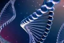 核苷酸抗衰延壽重大成果發(fā)布