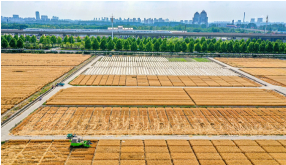 國務(wù)院印發(fā)《關(guān)于開展第四次全國農(nóng)業(yè)普查的通知》