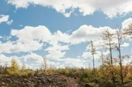 黑龍江省自然科學基金設立首個聯(lián)合基金