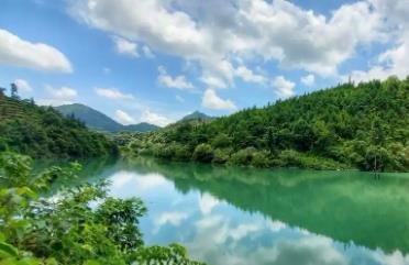 現有1361個自然保護地！廣東高水準推進綠美保護地建設