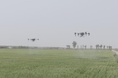 綠色生產(chǎn)、科技護(hù)航 夏收季田間地頭糧食豐收果實(shí)飄香