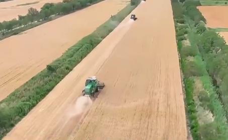 全國(guó)夏糧小麥進(jìn)入收獲高峰期