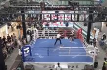 文商旅體多業(yè)態(tài)互補為賽事賦能 “賽事經濟”激活多場景消費新動能