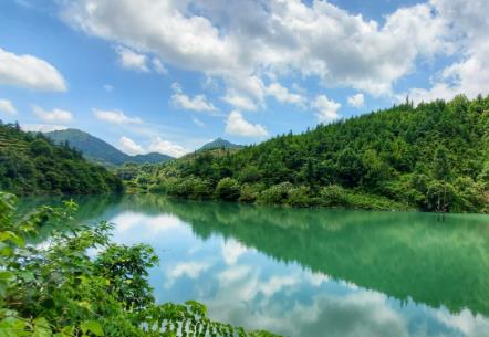 廣東高水準(zhǔn)推進(jìn)綠美保護(hù)地建設(shè) 物種數(shù)量和種群規(guī)模呈擴(kuò)大態(tài)勢(shì)