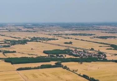 沙土地治理顯成效：推廣良技良法 沙土地變高產(chǎn)田