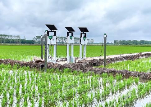 北斗導航繪制“豐收圖景” 農(nóng)機馳騁助力“三夏”顆粒盡歸倉