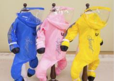 “小狗雨衣”搜索量環(huán)比增長(zhǎng)超9倍 梅雨季來(lái)臨 寵物雨衣成剛需