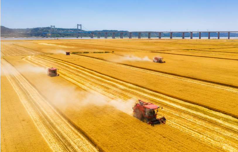 從開鐮到“開機(jī)”，“黑科技”解鎖夏收“密碼”