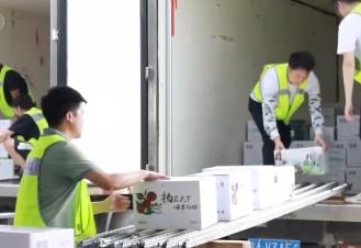 從內(nèi)銷到出口 冷鏈物流讓水果實(shí)現(xiàn)才下“枝頭”就上“舌尖”
