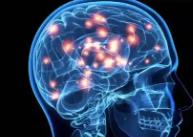 腦內(nèi)藥物遞送技術(shù)研發(fā)進(jìn)入快車(chē)道