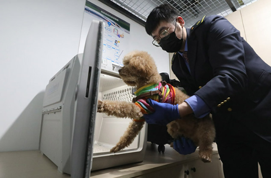 6月20日起鐵路部門擴(kuò)大高鐵寵物托運(yùn)服務(wù)試點(diǎn)范圍