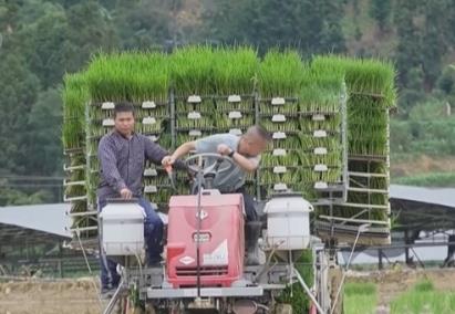 “機(jī)械+科技”、稻鴨共養(yǎng)、移動菇房 “智慧”引擎激活鄉(xiāng)村振興新動能