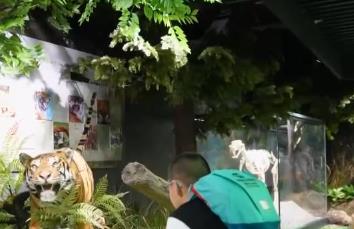 “百獸之王”變身文旅IP 沉浸式體驗帶火生態(tài)游