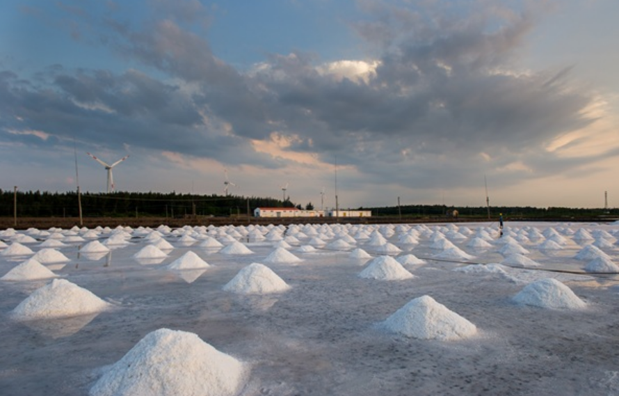 廣東鹽業(yè)集團向“綠”前行 以節(jié)能低碳繪就高質(zhì)量發(fā)展新畫卷