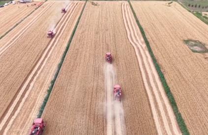 搶農(nóng)時(shí) 護(hù)豐收 多維度保障“三夏”生產(chǎn)