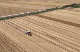 良機(jī)良法“智”繪夏播圖 科技為秋糧“豐”景打好基礎(chǔ)