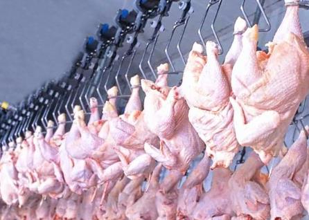 雞肉供應(yīng)充足物美價(jià)廉