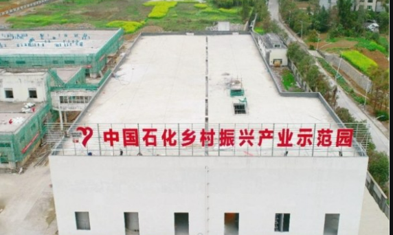 中國石化定點幫扶工作連續(xù)八年獲評最高等次