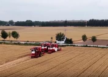 農(nóng)業(yè)農(nóng)村部組織開展奮戰(zhàn)100天抓夏管提單產(chǎn)抗災(zāi)奪秋糧豐收行動(dòng)